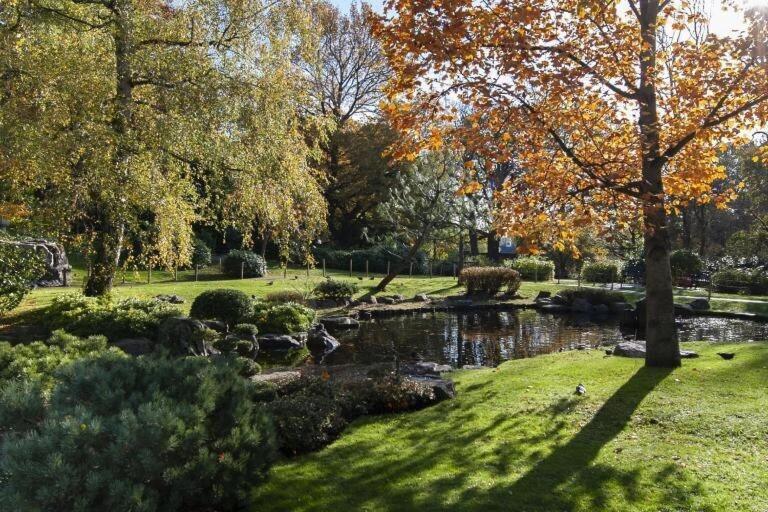 1-Bed Apartment, Close To Kensington Olympia With Free Wi-Fi & Netflix London Eksteriør billede
